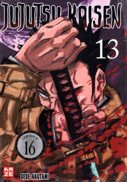 Jujutsu Kaisen 13, Kazé