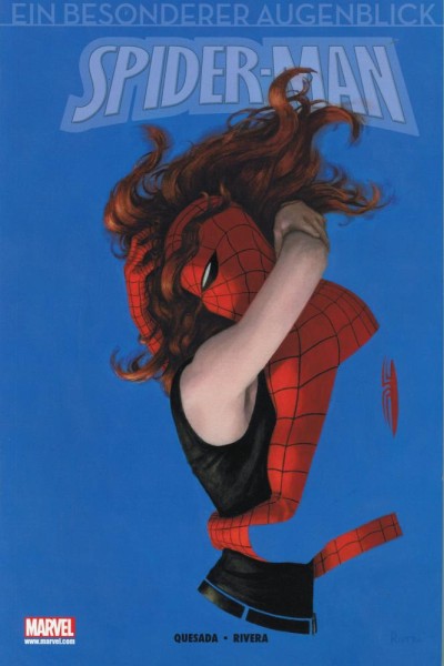 Spider-Man - Ein besonderer Augenblick (Z0), Panini